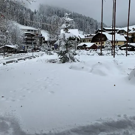 Des Alpes C Flat 11 *